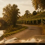 Que visiter entre Toulouse et Montauban : route vers Fronton et vignes au coucher du soleil