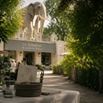 restaurant museum toulouse : déjeuner en terrasse ombragée au Muséum