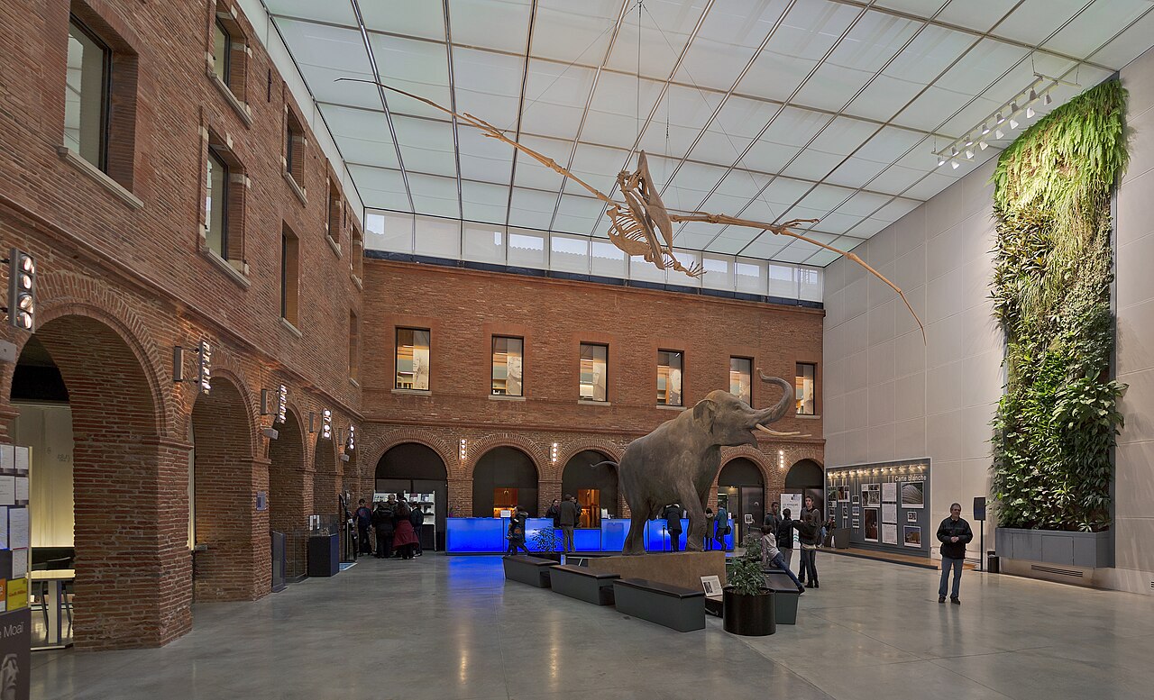 Le Grand Carré, hall du Muséum de Toulouse, photographié en 2012